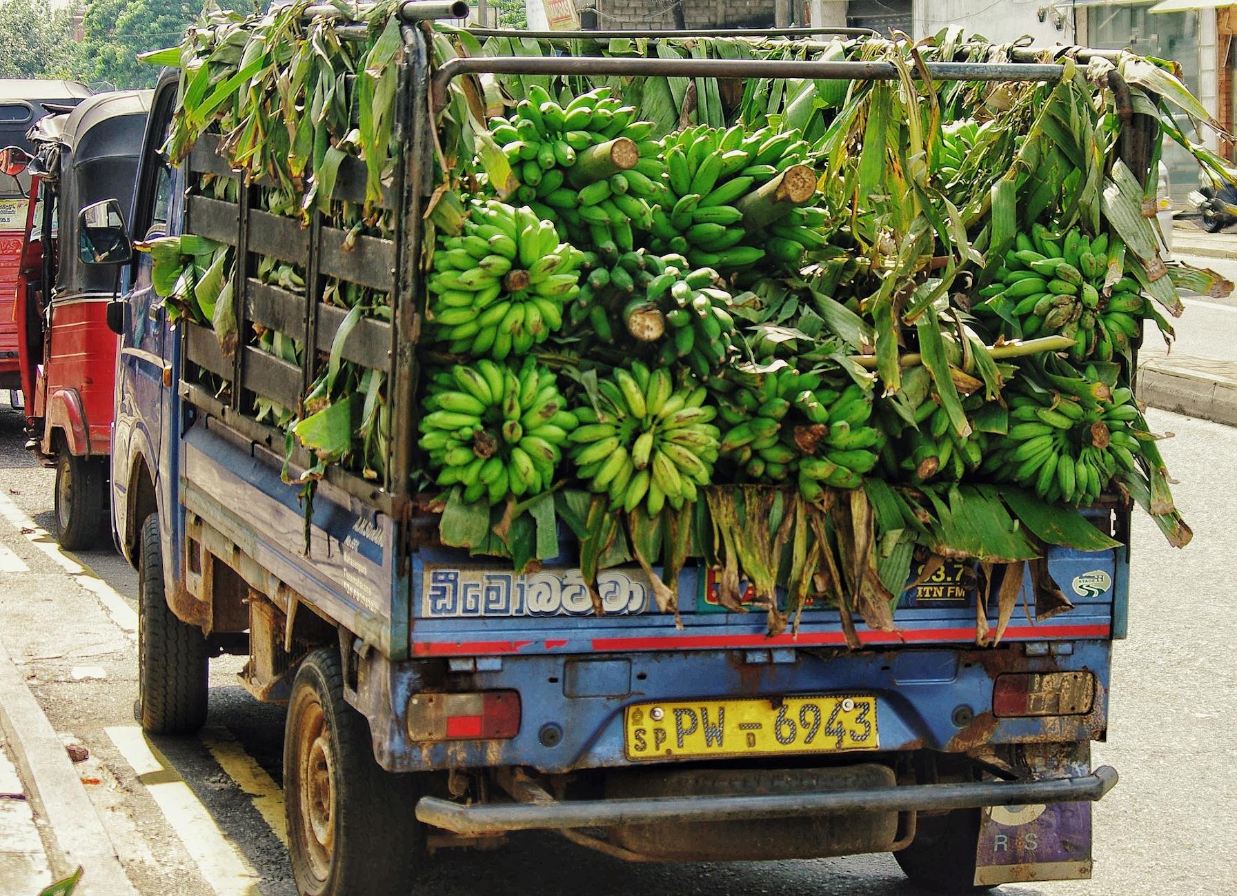 Delivery truck with produce — Sanjeev